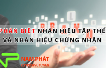 nhan hieu tap va nhan hieu chung nhan